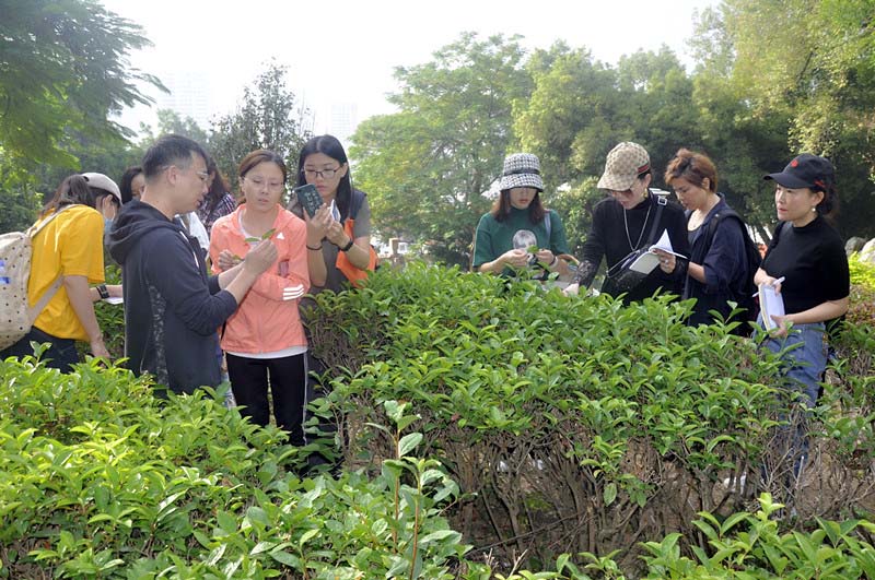 厦门茶艺师培训哪个机构最好？